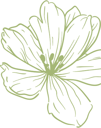 Dessin de fleur