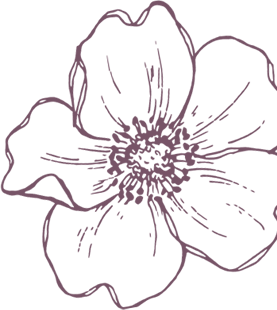 Dessin de fleur
