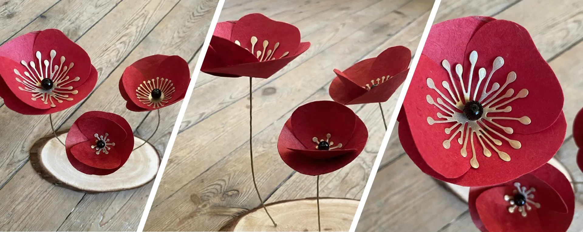 Coquelicots en papier